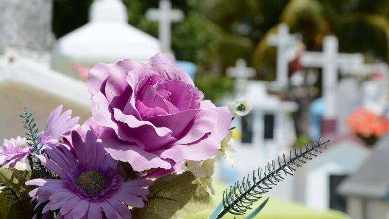Brakuje miejsc na cmentarzu komunalnym w Nowej Soli?