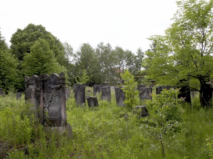 Zniszczenie XIX-wiecznego cmentarza w pobliżu Nowej Soli — sprawa zostanie umorzona?