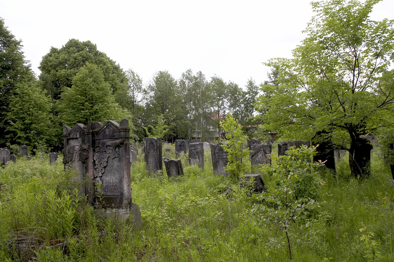 Zniszczenie XIX-wiecznego cmentarza w pobliżu Nowej Soli — sprawa zostanie umorzona?