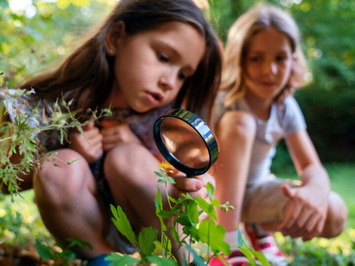 Letnie piątki z przyrodą: Muzeum Miejskie w Nowej Soli zaprasza dzieci na warsztaty przyrodnicze