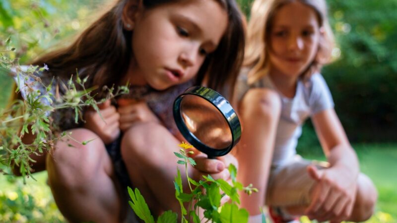 Letnie piątki z przyrodą: Muzeum Miejskie w Nowej Soli zaprasza dzieci na warsztaty przyrodnicze