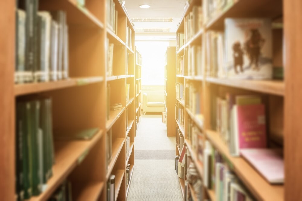 Zostań „przestępcą książkowym” na Nocy Bibliotek 2025!
