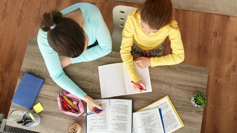 Radosne pasowanie pierwszoklasistów w Niedoradzu – nowy rozdział w szkolnym życiu!