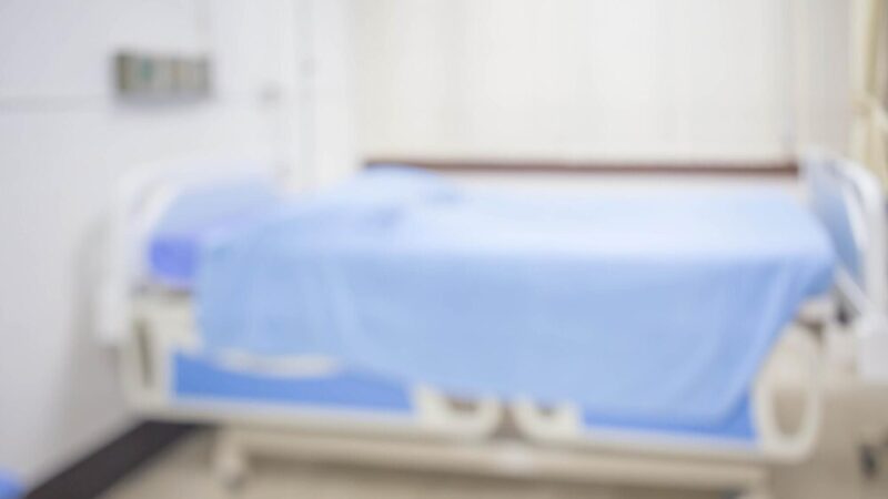 Epidemia chorób drobiu w Polsce – kluczowy apel do hodowców o bioasekurację