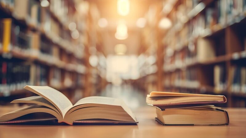 Dziękujemy Annie Makowskiej za nominację naszej biblioteki do konkursu książkowego!