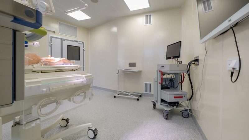 Obowiązkowe szczepienie psów przeciwko wściekliźnie: niezbędne przypomnienie!