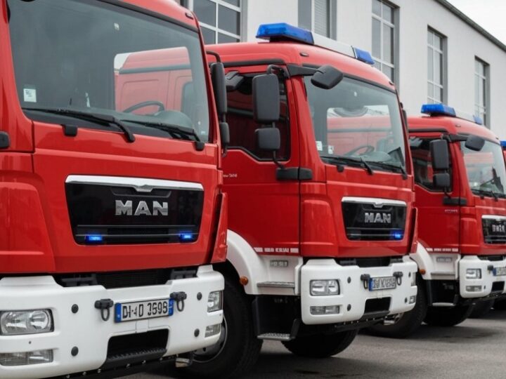 Królikowice: Straż Pożarna usuwa powalone drzewo